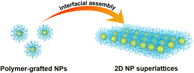 Graphical abstract: 2D superlattices via interfacial self-assembly of polymer-grafted Au nanoparticles