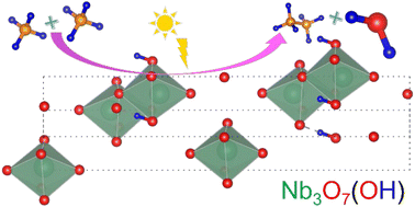 Graphical abstract: Engineering surface lattice hydroxyl groups toward highly efficient photocatalytic methane coupling