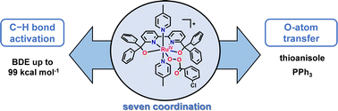 Graphical abstract: Structure and reactivity of a seven-coordinate ruthenium acylperoxo complex