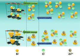 Graphical abstract: Conversion-intercalation competing behaviour of halogen storage on graphite electrode from fluid ZnCl2/ZnBr2 hydrates