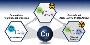 Graphical abstract: One-pot two-step radioiodination based on copper-mediated iododeboronation and azide–alkyne cycloaddition reaction