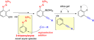 Graphical abstract: Development of 3-triazenylaryne and its application to iterative aryne reactions via o-triazenylarylboronic acids