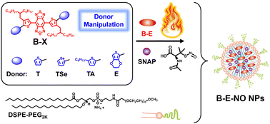 Graphical abstract: A noncovalent backbone planarization strategy increases the NIR-II extinction coefficients for gas/phototheranostic applications