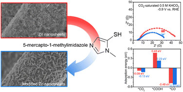 Graphical abstract: Organic molecule-assisted intermediate adsorption for conversion of CO2 to CO by electrocatalysis