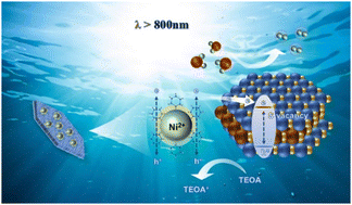 Graphical abstract: Infrared light dual excitation of Ni-phytate-sensitized ZnIn2S4 with sulfur vacancies for enhanced NIR-driven photocatalysis