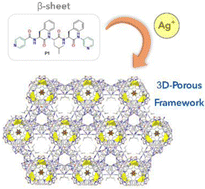 Graphical abstract: Metal-driven folding and assembly of a minimal β-sheet into a 3D-porous honeycomb framework