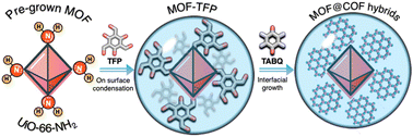 Graphical abstract: MOF (UiO-66-NH2)@COF (TFP–TABQ) hybrids via on-surface condensation reactions for sustainable energy storage