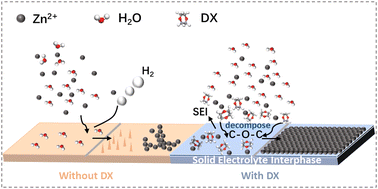 Graphical abstract: A low concentration electrolyte additive for constructing solid–electrolyte interphase on a Zn metal anode for aqueous batteries