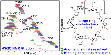 Graphical abstract: Quantitative determination of the binding capabilities of individual large-ring cyclodextrins in complex mixtures