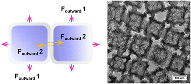 Graphical abstract: Dual-outward contraction-induced construction of 2D hollow carbon superstructures