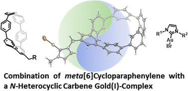 Graphical abstract: Synthesis and investigation of a meta[6]cycloparaphenylene gold(i) N-heterocyclic carbene complex