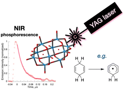 Graphical abstract: NIR phosphorescence from decatungstate anions allows the conclusive characterization of its elusive excited triplet behaviour and kinetics