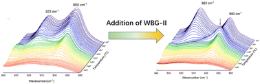 Graphical abstract: Promoting form I′ crystallization and melting-recrystallization by adding a β-nucleating agent into poly(butene-1)/isotactic polypropylene blends