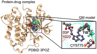 Graphical abstract: Tetrel bonds involving a CF3 group participate in protein–drug recognition: a combined crystallographic and computational study
