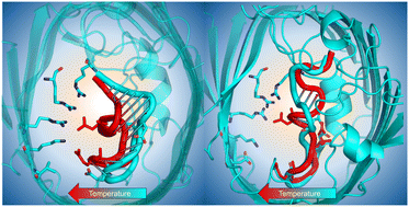 Graphical abstract: How the physical properties of bacterial porins match environmental conditions