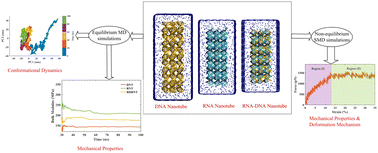 Graphical abstract: Conformational dynamics and mechanical properties of biomimetic RNA, DNA, and RNA–DNA hybrid nanotubes: an atomistic molecular dynamics study