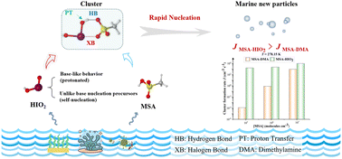 Graphical abstract: Methanesulfonic acid and iodous acid nucleation: a novel mechanism for marine aerosols