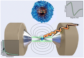 Graphical abstract: In-depth magnetometry and EPR analysis of the spin structure of human-liver ferritin: from DC to 9 GHz
