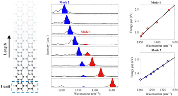 Graphical abstract: Localized vibrational characteristics of biphenylene strips resulting in length-dependent Raman spectra