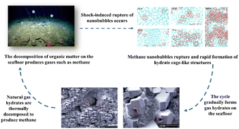 Graphical abstract: Molecular dynamics of the spontaneous generation mechanism of natural gas hydrates during methane nanobubble rupture