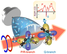 Graphical abstract: Anisotropic circular dichroism of jet-cooled chiral molecules