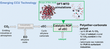 Graphical abstract: A DFT-metadynamics study disclosing key properties of ring-opening polymerization catalysts to produce polyethercarbonate polyols from cyclic ethylene carbonate as part of an emerging CCU technology