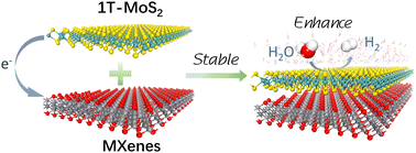 Graphical abstract: A general strategy to stabilize 1T-MoS2 using MXene heterostructures and unlock its hydrogen evolution reaction capabilities