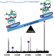 Graphical abstract: Conformational equilibria and interaction preference in the complex of isoprene–maleic anhydride