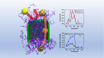 Graphical abstract: Emergence of selectivity and specificity in a coarse-grained model of the nuclear pore complex with sequence-agnostic FG-Nups