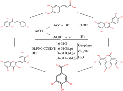 Graphical abstract: A density functional theory benchmark on antioxidant-related properties of polyphenols