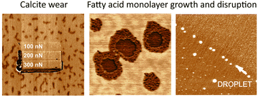 Graphical abstract: The dynamic nature of natural and fatty acid modified calcite surfaces
