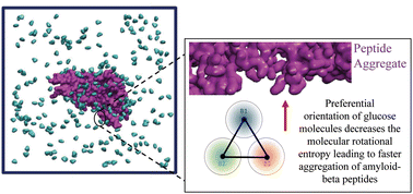 Graphical abstract: Modulation of Aβ 16–22 aggregation by glucose