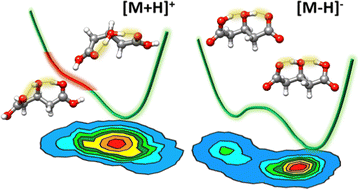 Graphical abstract: Correlated proton dynamics in hydrogen bonding networks: the benchmark case of 3-hydroxyglutaric acid