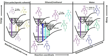 Graphical abstract: Non-trivial ground and excited state photophysics of a substituted phenol