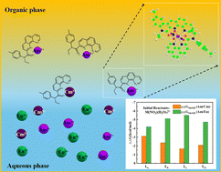 Graphical abstract: Theoretical investigations into the bonding and separation properties of non-rigid, partially rigid, and rigid ligands derived from Et-Tol-PTA with trivalent lanthanides and actinides
