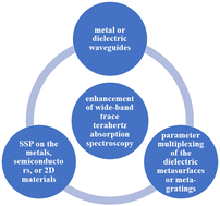 Graphical abstract: Enhancement of wide-band trace terahertz absorption spectroscopy based on microstructures: a review