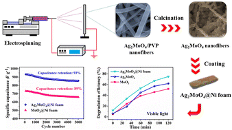 Graphical abstract: Novel electrospun bead-like Ag2MoO4 nanofibers coated on Ni foam for visible light-driven heterogeneous photocatalysis and high-performance supercapacitor electrodes