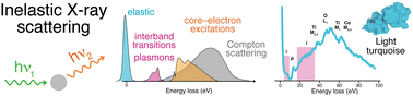 Graphical abstract: Non-resonant inelastic X-ray scattering for discrimination of pigments