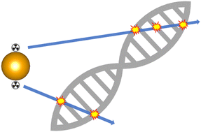 Graphical abstract: 211At on gold nanoparticles for targeted radionuclide therapy application