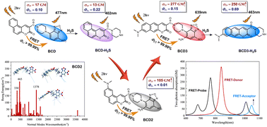 Graphical abstract: Excellent ratiometric two-photon fluorescent probes for hydrogen sulfide detection based on the fluorescence resonance energy transfer mechanism