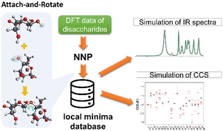 Graphical abstract: A first-principles exploration of the conformational space of sodiated di-saccharides assisted by semi-empirical methods and neural network potentials