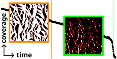 Graphical abstract: Impact of long-range attraction on desorption kinetics