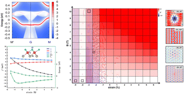 Graphical abstract: Intrinsic edge states and strain-tunable spin textures in the Janus 1T-VTeCl monolayer