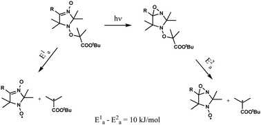 Graphical abstract: A novel method of alkoxyamine homolysis activation via photochemical rearrangement