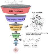 Graphical abstract: Discovery of non-sulfonamide carbonic anhydrase IX inhibitors through structure-based virtual screening
