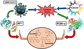 Graphical abstract: Can Duvelisib and Eganelisib work for both cancer and COVID-19? Molecular-level insights from MD simulations and enhanced samplings