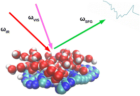 Graphical abstract: Vibrational dynamics and spectroscopy of water at porous g-C3N4 and C2N surfaces