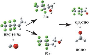 Graphical abstract: The mechanism and kinetics of the atmospheric oxidation of CF3(CF2)2CH [[double bond, length as m-dash]] CH2 (HFC-1447fz) by hydroxyl radicals: ab initio investigation