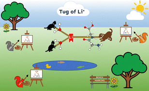 Graphical abstract: The impact of solvation on the structure and electric field strength in Li+GlyGly complexes