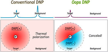 Graphical abstract: Background signal suppression by opposite polarity subtraction for targeted DNP NMR spectroscopy on mixture samples